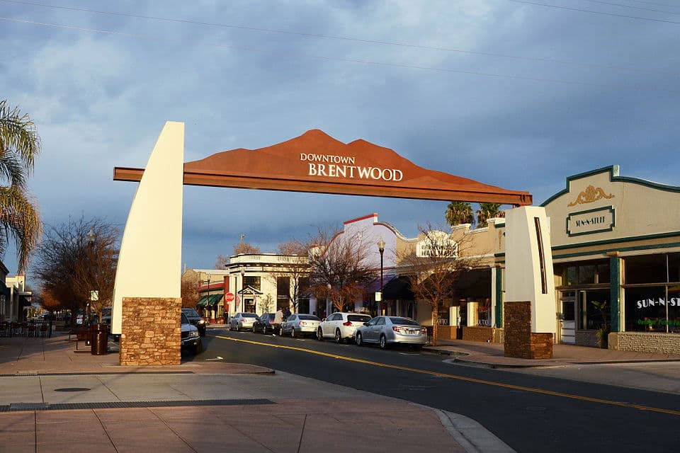5 Must-Do Things in Brentwood, California
